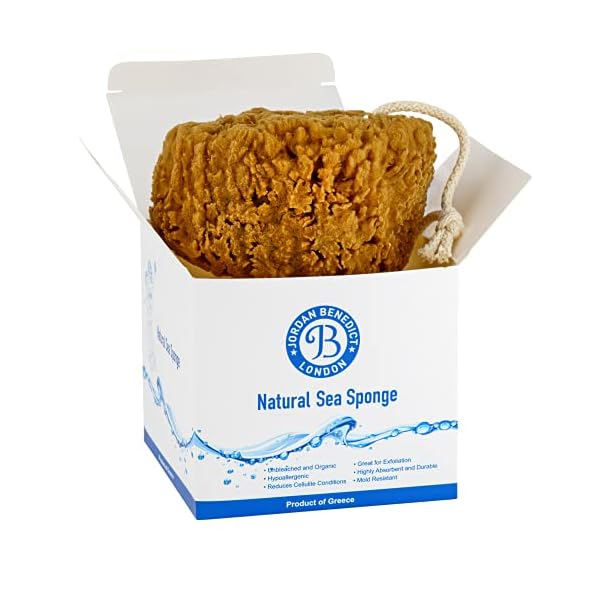 Jordan Benedict Natural Sea Sponge - Natural Sea Sponge for Bath and Shower
