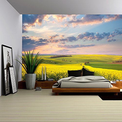 wall26 - Yellow Flowering Fields, Ground Road and Beautiful Valley, Nature Spring Landscape - Removable Wall Mural | Self-Adhesive Large Wallpaper - 100x144 inches