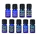 SpaRoom 100% Pure Essential Oils Set; Perfect for Aromatherapy, Diffusers, Humidifiers and Home Care, Gift Set of 8