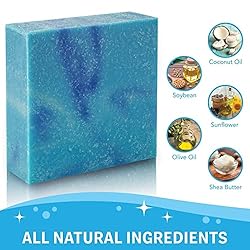 Nut Scrub Men's Bar Soap, 5 Oz Deodorant Bath Bars