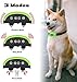 PetPet Dog Bark Collar Adjustable Sensitivity and Intensity Levels-Dual Anti-Barking Modes-Rechargeable/Rainproof -No Barking Control Dog Shock Collar for Small Medium Large Dog (Green)thumb 2