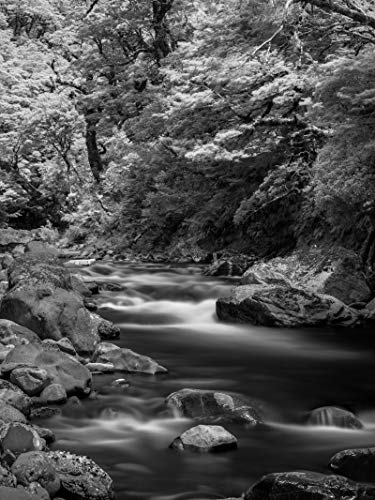 Haida NanoPro 82mm MC IR720 Filter Infrarot 720nm 720hb HD4599-82 – Bild 8