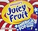 JUICY FRUIT 4th of July America Pop Gum (Pack of 10)