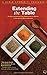 Extending the Table: Recipes and stories from Afghanistan to Zambia in the Spirit of More-with-Less (World Community Cookbook) by Joetta Handrich Schlabach