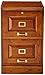 Coaster Home Furnishings Palmetto 2-Drawer Oak File Cabinet, Warm Honey