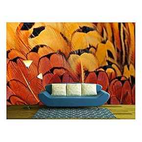 Pheasant Feather - Removable Wall Mural | Self-Adhesive Large Wallpaper - 66x96 inches