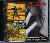 ORDINARY AVERAGE GUY / SONGS FOR A DYING PLANET