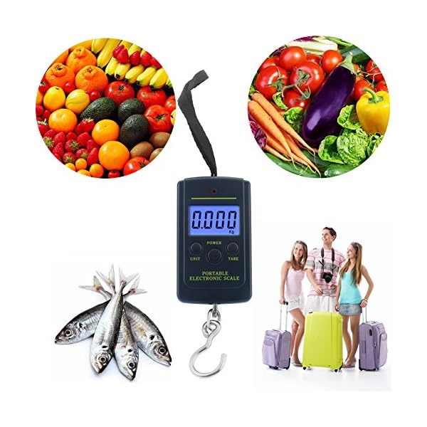 Next-shine-Electronic-Digital-HangingFishLuggageKitchen-Scale-001-lb0005kg-Dark-Blue