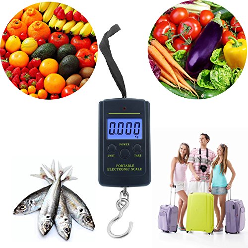 NEXT-SHINE Fish Scale LS-H241 88lb/40kg Pocket Size Multi-functionals Pro Scale with Tare, Back-lit LCD Display for Fishing, Postal Parcel, Kitchen, Home