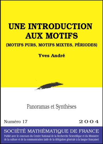 Une  introduction aux motifs