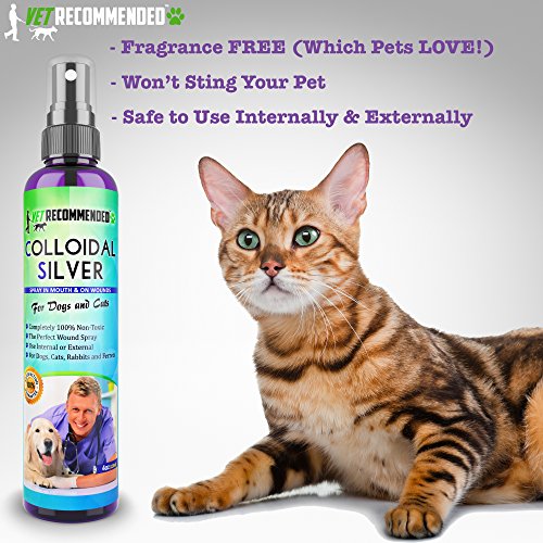 Vet Colloidal Silver For Dogs & Cats Colloidal Silver