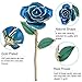 zjchao 24K Blue Rose for Her, Dipped Gold Rose Love Real Golden Plated Preserved Forever Flower with Rose Stand Present for Wife/Girlfriend/Friend (Blue)