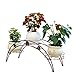 DAZONE Arch Metal Potted Plant Stand with 3 Holders Potted Plant Rack Organizer (Bronze)
