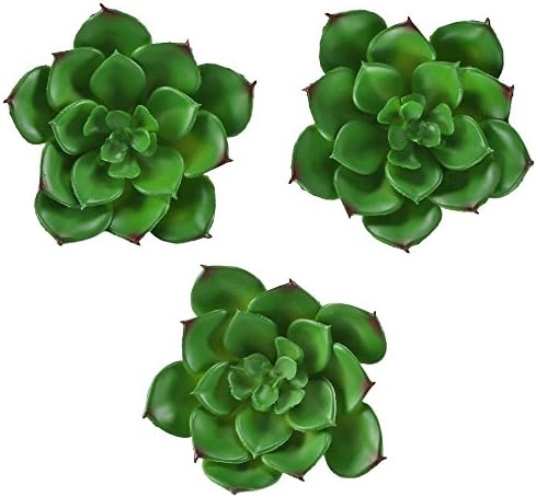 Hogado 3 pcs Artificial Succulent Plants Realistic Miniature Cactus Echeveria Unpotted Home Kitchen Office Desk Wall Cabinet Terrarium Decor for Wedding Bouquets Green