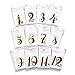 JumpOff Jo - Seize The Moment Baby Milestone Onesies, 1 Through 12 Bodysuit Set With Numbers, Newborn Essentials (Giraffe)