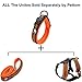 PETTOM Martingale Dog Collar for Small Medium Large Dogs, Reflective Chain Dog Training Collar with Quick Release Buckle, Adjustable Steel Nylon No Pull Pet Collar for Dog