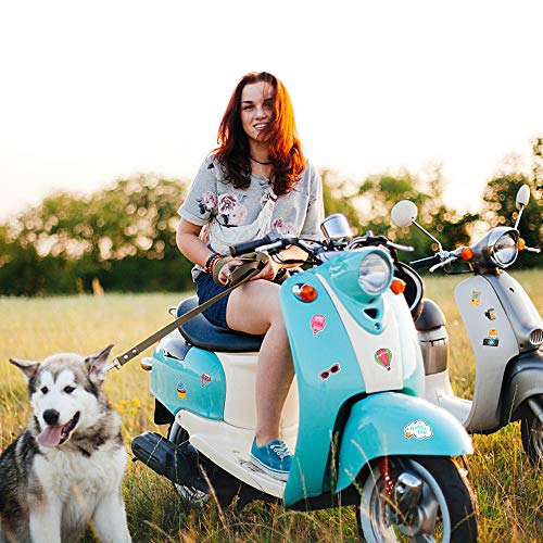 DECYOOL 110 Pcs Girls Cute Laptop Stickers Decal for Water Bottle Skateboard Luggage Motorcycle Phone Bicycle Guitar