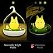 Elecstars Children's Night Light, Hand-held Design Touch Sensor Vibration Birdcage Lamp, Portable Night Lamp with USB Charging Cable for Kids/Babys Gifts (Bird Night Light)