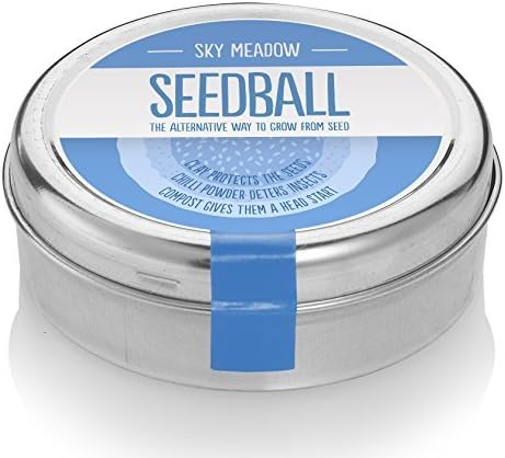 Wildflower Seeds For Bees and Butterflies. Garden and Gardening Gift For Christmas (Blue Meadow)