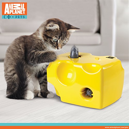 Animal Planet Automatic Peek A Boo Mouse Cheese Interactive