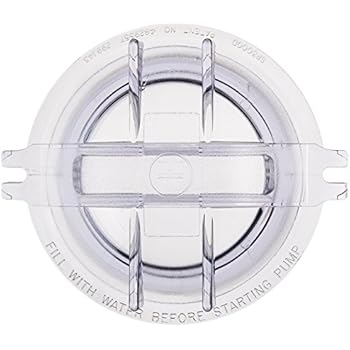 Amazon.com : Hayward SPX3000S Strainer Cover O-ring