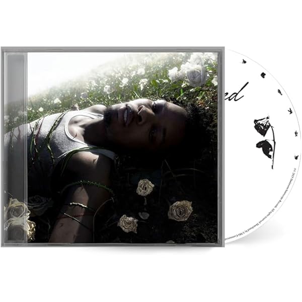 d4vd - Petals To Thorns[Translucent Black Ice LP] - Amazon.com Music