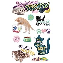 Amazon.com: Paper House You Had Me at Meow Cat Themed 3D ...
