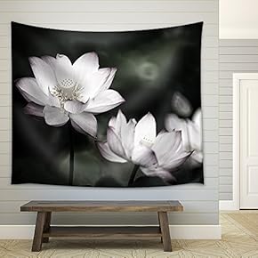 Beautiful Lotus for Background use - Fabric Wall Tapestry Home Decor - 51x60 inches