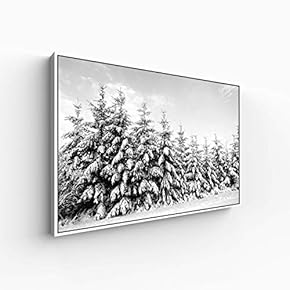 Canvas Wall Art for Living Room, Bedroom Monochrome Plants Framed Canvas Prints for Home Decoration Ready to Hang - 16x24 inches
