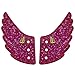 Shwings Lace On Style Glitter Fuchsia Pink One Size Fabric Shoe Decoration Charm Wings