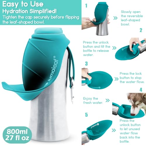 LumoLeaf Portable Dog Water Bottle 800 ml, Stainless Steel Pet Travel Water Bottle Dispenser for Walking, Hiking and Outdoor, Portable Water Bowl for Large Dogs (Blue)