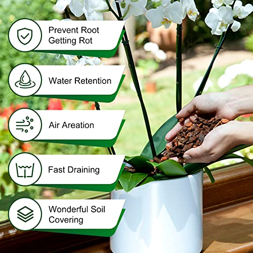 Orchid Bark for Plants 4 Quarts Natural Pine Bark Potting Mix Soil Amendment for Repotting Indoor Plants Tropical Aroid Paphiopedilum Phalaenopsis Cattleya (Promo Code:20IFMZ18)