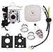 FitBest Carburetor RB-K106 with Repower Maintenance Kit for Echo PB-250 PB-250LN ES-250 A021003660 Power Blowers