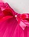 NNJXD Girl Newborn Crown Tutu 1st Birthday 3 Pcs Outfits Romper+Dress+ Headband Size (1) 1 Year Rose