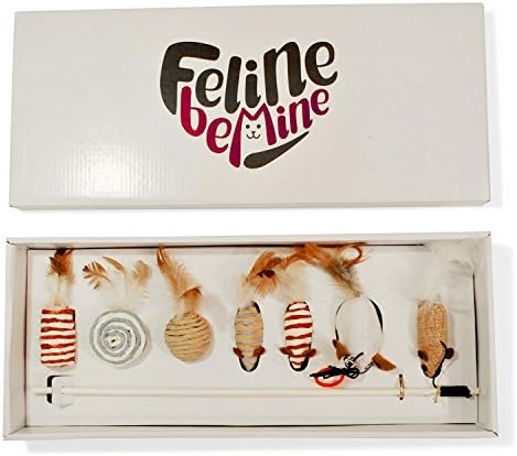Feline Be Mine Cat Toy - Collection in Box Cat Wand Pet Activity 7 Piece Cat Nip Toys