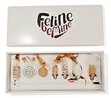 Premium Cat Toy Collection in Gift Box - Cat Wand Deluxe by Feline Be Mine - Quality Pet Activity Supplies - 100% Satisfaction Money Back Guarantee