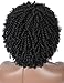 Kalyss Premium Synthetic Short Afro Kinky Curly Wigs for Black Women Realistic Black Curly Wigs Lightweight Soft Natural Curls Hair Wigs