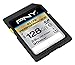 PNY Elite Performance 128GB High Speed SDXC Class 10 UHS-I, U3 Up to 95MB/sec Flash Card - P-SDX128U1H-GE