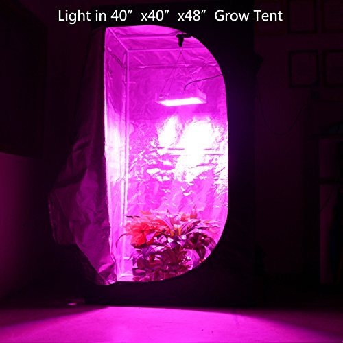 HIGROW 600W Double Chips LED Grow Light Full Spectrum Grow Lamp with...