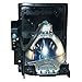 Aurabeam Economy Lamp Replacement for Mitsubishi 915B455012 with Housing