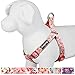 Blueberry Pet Step-in Spring Scent Inspired Floral Rose Baby Pink Dog Harness, Chest Girth 19.5
