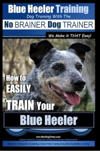 trained blue heeler for sale