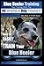 Blue Heeler Training | Dog Training with the No BRAINER Dog TRAINER ~ We Make it THAT EASY! |: How t by Mr Paul Allen Pearce