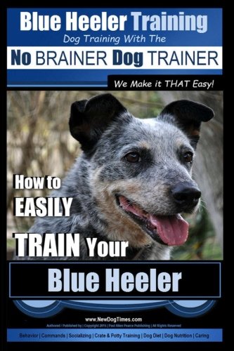 Blue Heeler Training | Dog Training 