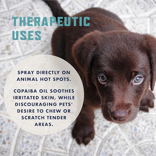 Rocco & Roxie No Chew Spray for Dogs, More Yuck Than Bitter Apple, Dog