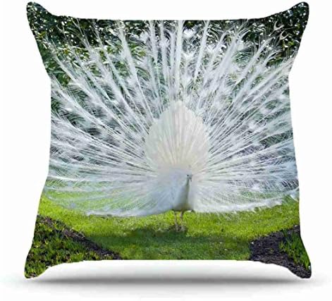 Square 18 X 18 Inches Cotton Pillowcases Decorative Pillow Cover Case with Hidden Zipper Decor Cushion Covers - Animals bird Peacock white for outdoor