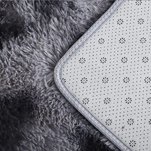 4X6 Feet Dark Gray Modern Area Rugs for Bedroom Living Room Ultra Soft Fluffy Throw Carpets for Girls Boys Kids Room Shaggy Fluffy Rugs (4X6Feet, Dark Gray)