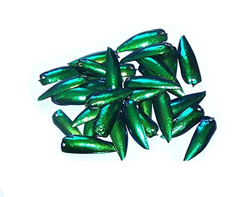 Jewel Beetle Wings (Dried and Drilled For Beading, Jewelry-Making, and Crafting) - Pack of 100