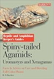Spiny-tailed Agamids: Uromastyx and Xenagama (Reptile and Amphibian Keeper's Guide) by R.D. Bartlett, Patricia Bartlett