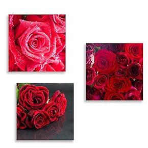 3 Panel Canvas Wall Art Romantic Rose Pictures Home Wall Decorations for Bedroom Living Room Paintings Canvas Prints Framed - 12"x12"x3 Panels